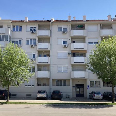 Apartman Senjak Пірот Екстер'єр фото